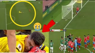 Is This 2024s Most Controversial Goal Chile Striker Sparks Mass Brawl [upl. by Lisabeth]