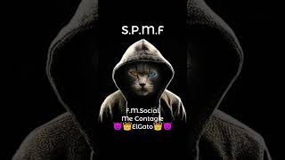 FMSocialMe Contagie😈👑ElGato👑😈 [upl. by Gavan]