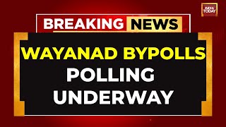 Wayanad Bypolls LIVE Polling Underway In Wayanad As Priyanka Gandhi Seeks A Successful Poll Debut [upl. by Edialeda]