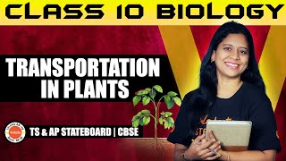 Transportation in Plants  Class 10 Biology  TS amp AP StateboardCBSE  Sunaina Maam [upl. by Oliric]