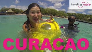 CURACAO Things to Do in Curacao [upl. by Malkah694]