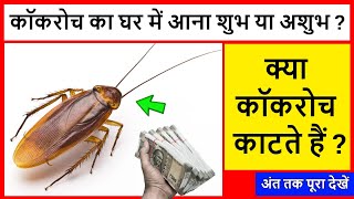 cockroach ka ghar me aana  कॉकरोच का घर में आना शुभ या अशुभ  क्या कॉकरोच काटते हैं [upl. by Spatz]