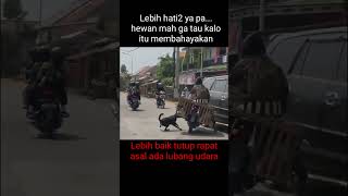 Lompat dari motor viral trending cctv trendingshorts fyp fypシ゚viral fypage tiktok [upl. by Etnauq390]