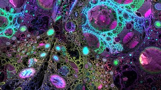 2024 Deep Psychedelic Exploration  MindMelting Fractal Visuals for Spiritual Connection [upl. by Arielle]