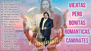 Los Caminantes 20 Grandes Éxitos  Los Caminantes Puras Románticas Para Enamorarse [upl. by Wendalyn473]