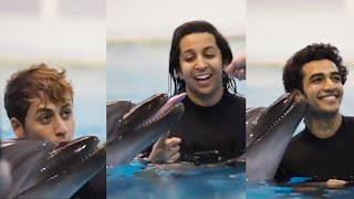 بوي باند  السباحه مع الدولفينز  Boyband  Swimmnig with the dolphins [upl. by Ploch]