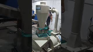 10HP IMPACT PULVERISERBESAN GRINDERTURMERIC GRINDERSATTU GRINDER [upl. by O'Meara]