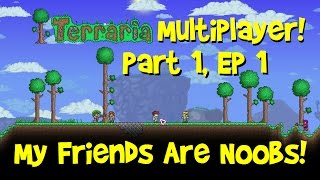 Lets Play Terraria Multiplayer Ep 1 of Part 1 My Friends Are NOOBS PC 134 Gameplay [upl. by Nyloj]