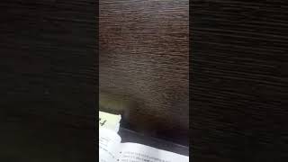 motivation motivational unboxing upsc studymotivation study motivationalvideo teacher [upl. by Ahsemrac]