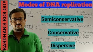 Modes of DNA replication Semiconservative Conservative amp Dispersive in HINDI [upl. by Klinges353]