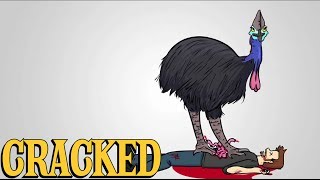 Why the Cassowary Is the Most Terrifying Animal Ever [upl. by Udella141]