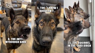 20 Sounds A German Shepherd Makes [upl. by Hyozo]