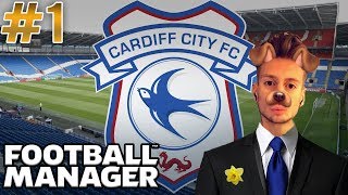 Football Manager 2019  1  Cardiff City [upl. by Lednyc]