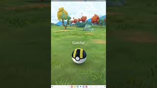 WILD SHINY VOLTORB in Pokemon Go [upl. by Eiralav]