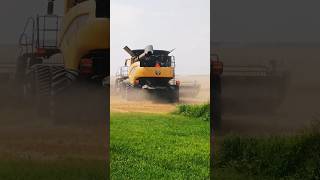 New Holland Combine  Straw Chopper at work in the field [upl. by Womack]