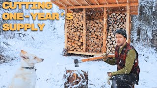 Building A Rustic Woodshed and Cutting A Years Firewood  Alone In Alaska  ASMR [upl. by Couture159]