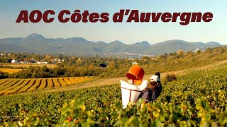 AOC côtes d Auvergne [upl. by Hametaf]