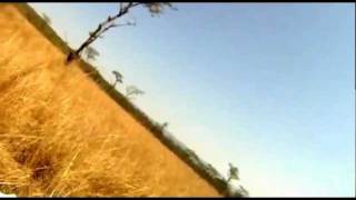 Mountain Biker gets taken out by BUCK Hartebeest [upl. by Einnaj541]