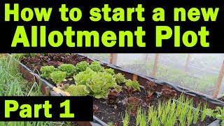 Start a new Allotment Plot  Where to start  Allotment Garden  Things you need to know  Part1 [upl. by Burn]