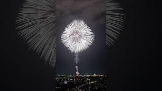 Biggest fireworks in history 🎆 firework fireworkshorts fireworks firecracker china [upl. by Lazare]