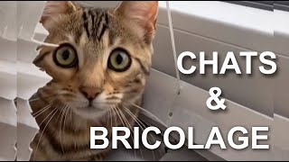 CHATS amp BRICOLAGE [upl. by Mcripley876]