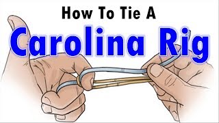 How to Tie A Fishing Rig How To Tie A Carolina Rig [upl. by Ramma]