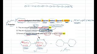 heteropolysaccharides الحصة السادسة شرح العلامة [upl. by Suzie338]