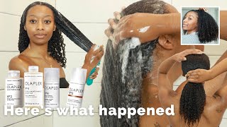 I Used The Olaplex System On My Natural Hair And [upl. by Silvain]