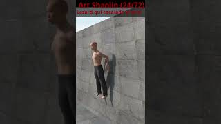 Le lezard qui escalade le mur 2472 art shaolin [upl. by Anerat376]