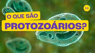 O que são PROTOZOÁRIOS [upl. by Arabelle]