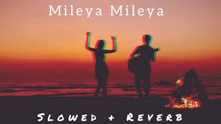 Mileya Mileya  Slowed  Reverb  Indian Lofi Chillhop [upl. by Land]