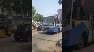 TN govt TNSTC Bus mass entry TN private Bus horn sound bus hornsound tnstc thoothukudi [upl. by Nahta]