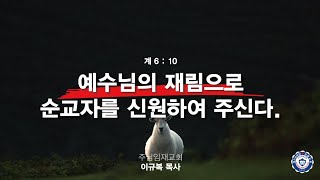 예수님의 재림으로 순교자를 신원하여 주신다  주님임재교회 이규복목사 [upl. by Nylram]