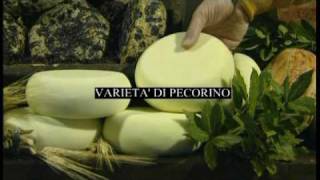 Making and tasting Pecorino cheese in Pienza Tuscany [upl. by Josephine708]