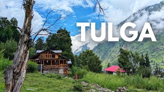 I Spent My Birthday Alone in Parvati Valley  Tulga amp Pulga Village  Into The Woods  Offbeat Kasol [upl. by Kiehl]