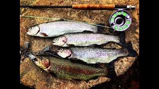 How to Fillet a Trout  Simple and ToThePoint [upl. by Ransell109]