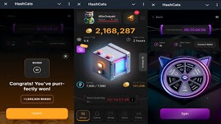 HashCats  New Feature Helps You Earn More HASH Coins Faster  Come Join Me  Telegram Crypto Bot [upl. by Ming]