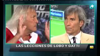 P Pelota  Loco Gatti vs Lobo [upl. by Plantagenet]