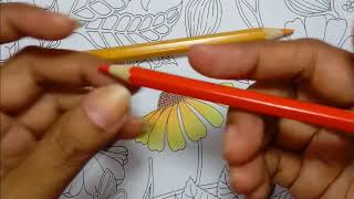 Tutorial Mewarnai menggunakan Pensil Warna BeginnerPemula caramewarnai tutorialmewarnai [upl. by Gasser]