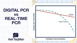 Digital PCR vs Realtime PCR  Ask TaqMan 30 [upl. by Lasorella]