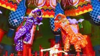 2019 CCTV Spring Festival Gala  Lion Dance CCTV English [upl. by Argyres]