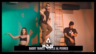 Métele al Perreo  Daddy Yankee  Marlon Alves Dance MAs [upl. by Ettari]