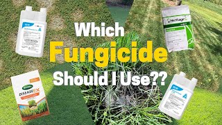 Which Fungicide Should I Use In My Lawn [upl. by Stultz]