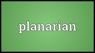 Planarian Meaning [upl. by Mufinella894]