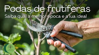 Podas de frutíferas Saiba qual a melhor época e a lua ideal [upl. by Care]