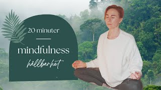 20 min MINDFULNESS FÖR HÅLLBARHET med breathwork amp affirmationer Guidad meditation på svenska [upl. by Nilekcaj]