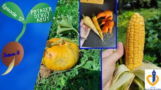 🍆S6  Episode 17  Tour du potager début Août🌽 [upl. by Erehpotsirhc734]