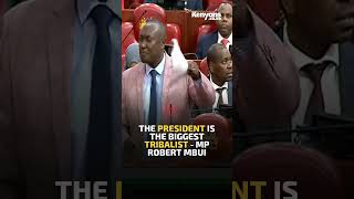 The President is the biggest tribalist  MP Robert Mbui [upl. by Lund]