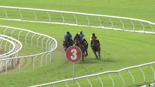 Heat 16 Doomben Jumpouts 2604 [upl. by Itin]