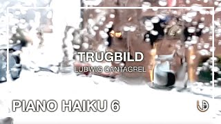 Ludwig Cantagrel  TRUGBILD  Piano Haiku Projekt VOL6 1720 [upl. by Odele235]